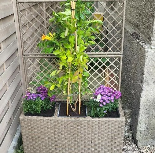 Studiospanie Magnolia Z Tarasem 2 Sypialnie Apartment *